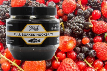 Fruits of the Forest